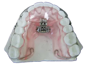 Altri Prodotti - Immagine 1