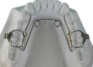 Altri Prodotti - Immagine 2